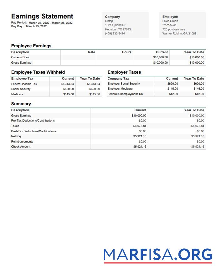 Downloadable Ontop company earninngs statement in PDF and Words sample